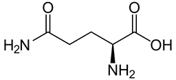 molecola glutamina